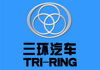 湖北三(san)環車橋案(an)例