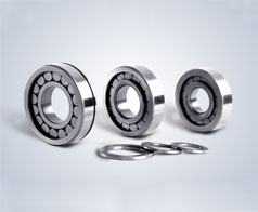 圓(yuan)柱滾(gun)子軸(zhou)承--鷹(ying)牌軸(zhou)承