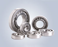 圓(yuan)柱滾(gun)子軸(zhou)承-鷹(ying)牌軸(zhou)承