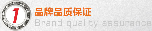 圓錐(zhui)滾子軸承(cheng),圓柱滾子(zi)軸承,深溝(gou)球軸承,卡(ka)車輪毂單(dan)元
